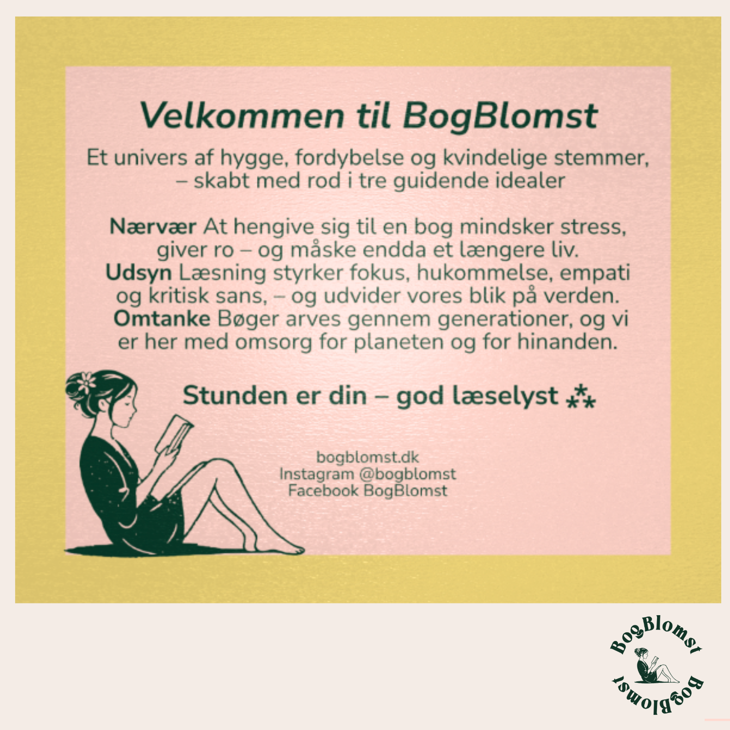 Eksklusiv feministisk julegaveboks✨